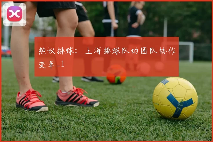 热议排球：上海排球队的团队协作变革_1