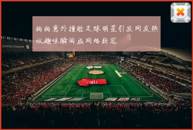 狗狗意外撞脸足球明星引发网友热议趣味瞬间成网络新宠