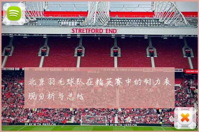 北京羽毛球队在精英赛中的耐力表现分析与总结